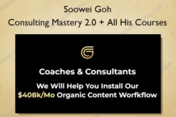 Consulting Mastery 2.0 + All His Courses – Soowei Goh